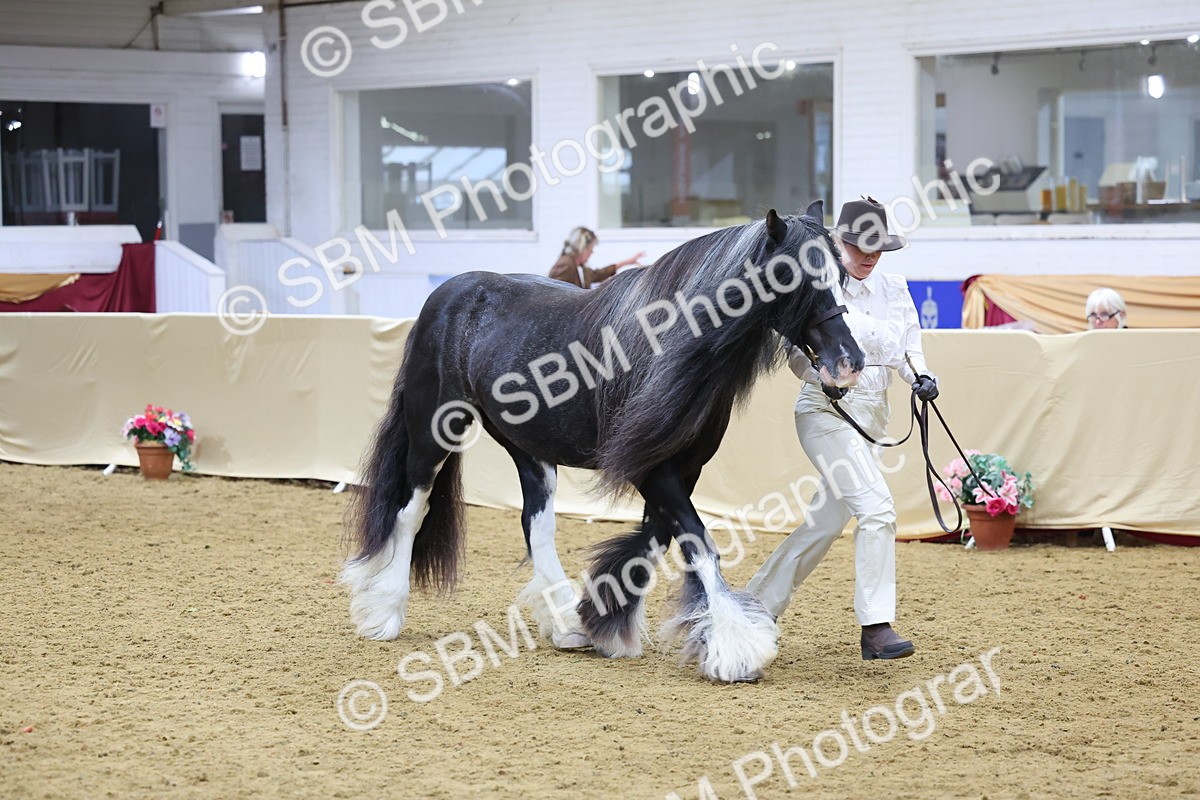 SBM_21043 - Class 902 - Supreme Final IH Veteran