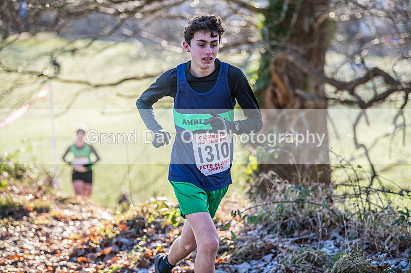 Cumbria XC-477 - Cumbria Cross Country Championships (Junior & Senior Races) Saturday 3rd January 2026