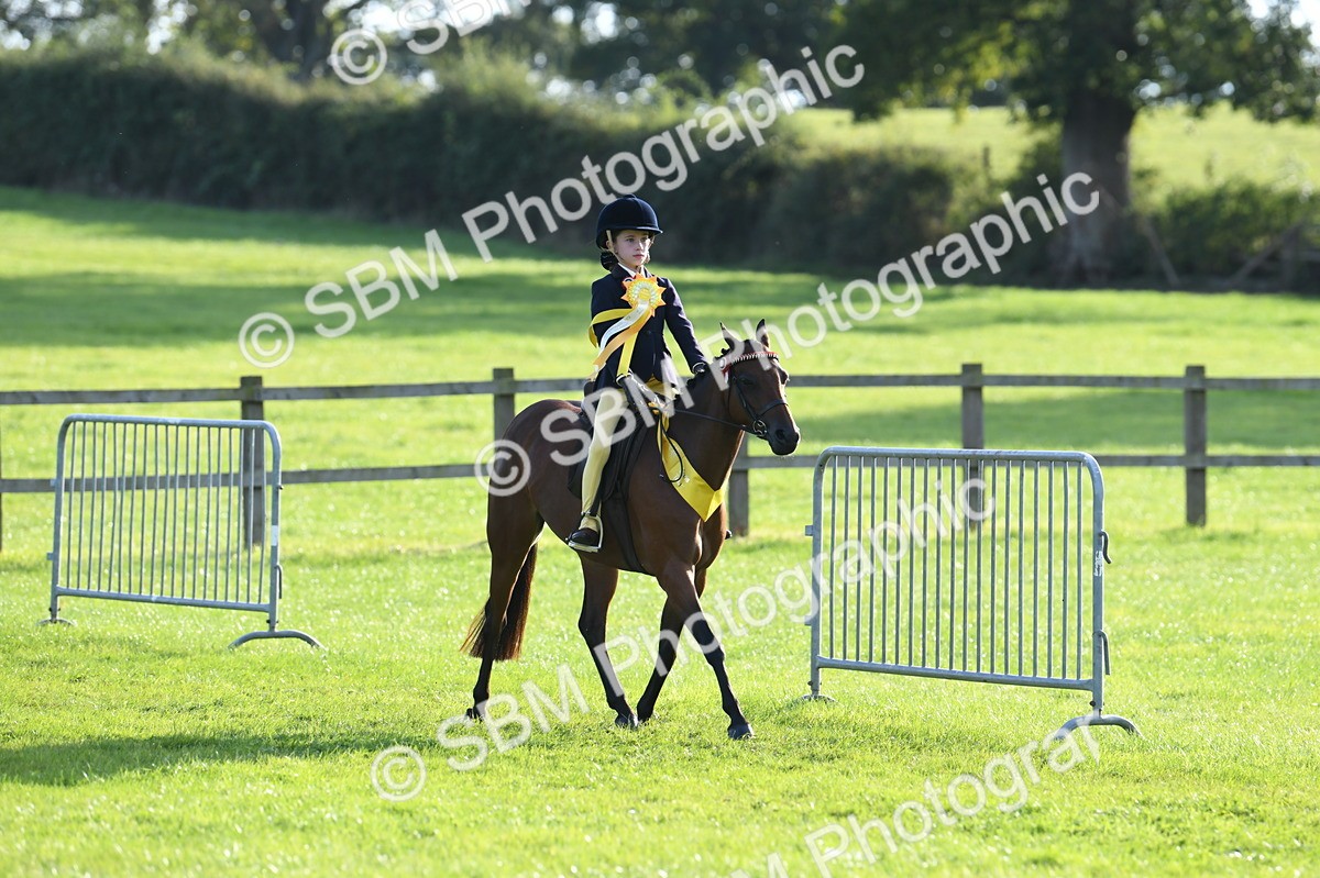 SBM_52458 - S22 - 1st Ridden Show & Show Hunter Pony