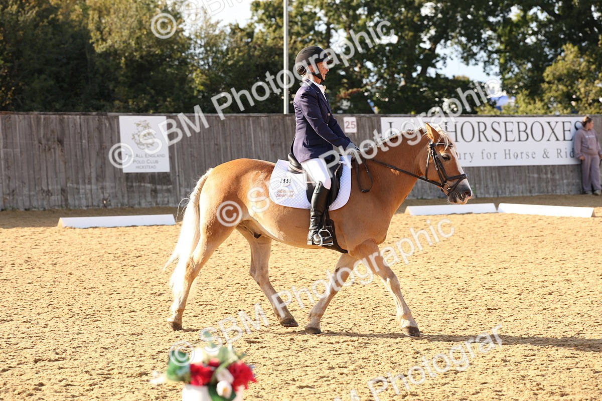 SBM_28218 - D20 - Grand Tour Championship Elementary 3