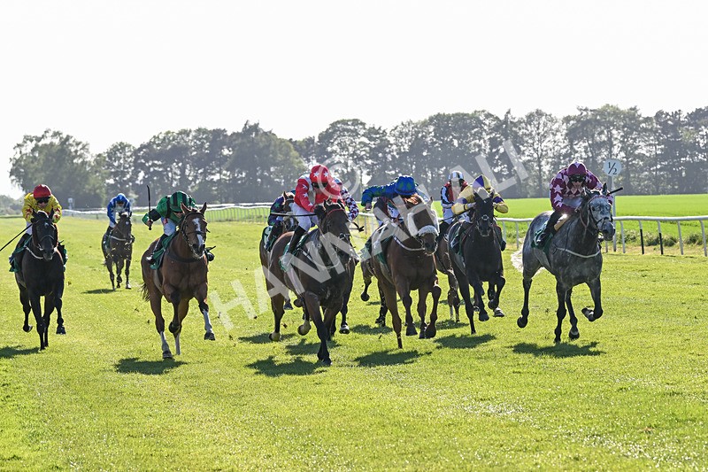 170525-Race 8-So Grateful-8992 - Race 8