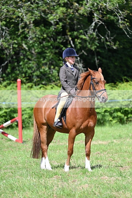 WJ7_1759 - Class 9 Pony Club Pony
