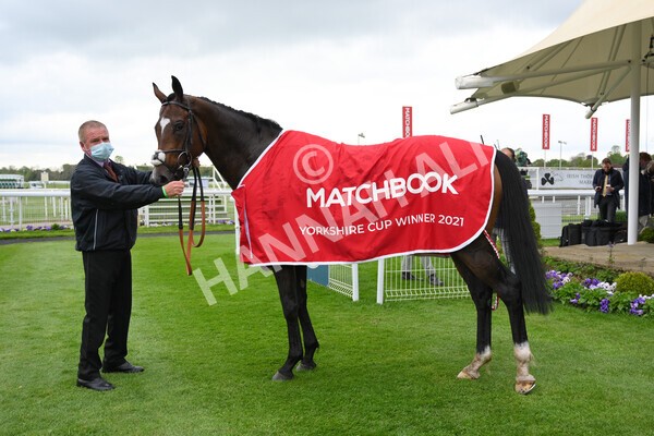 yr14052021r4-51 - Race 4 3.10pm The Matchbook Yorkshire Cup