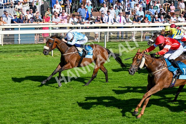 110725-Race 6-Brazen Bolt-0507 - Race 6 5.07pm William Hill Keep Your Raceday Positive Handicap