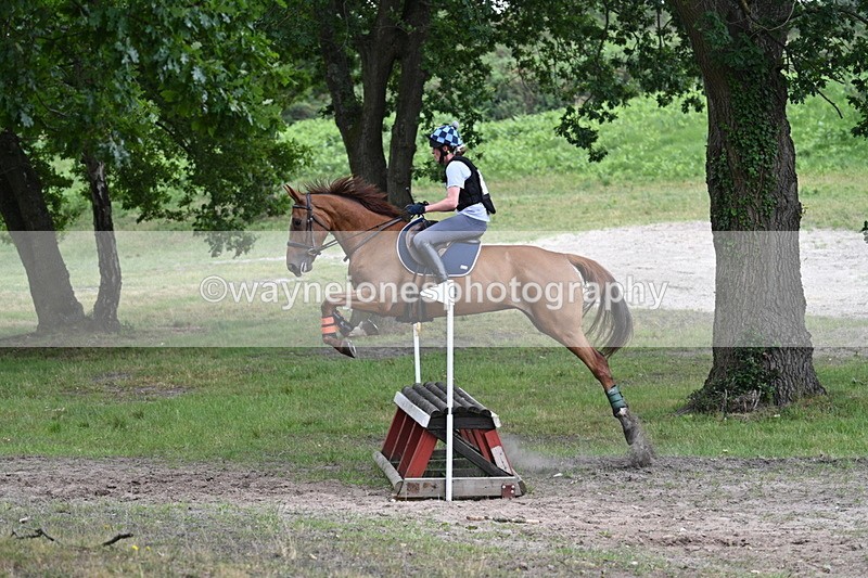 WJ7_9139 - Time 11:14 to 11:22