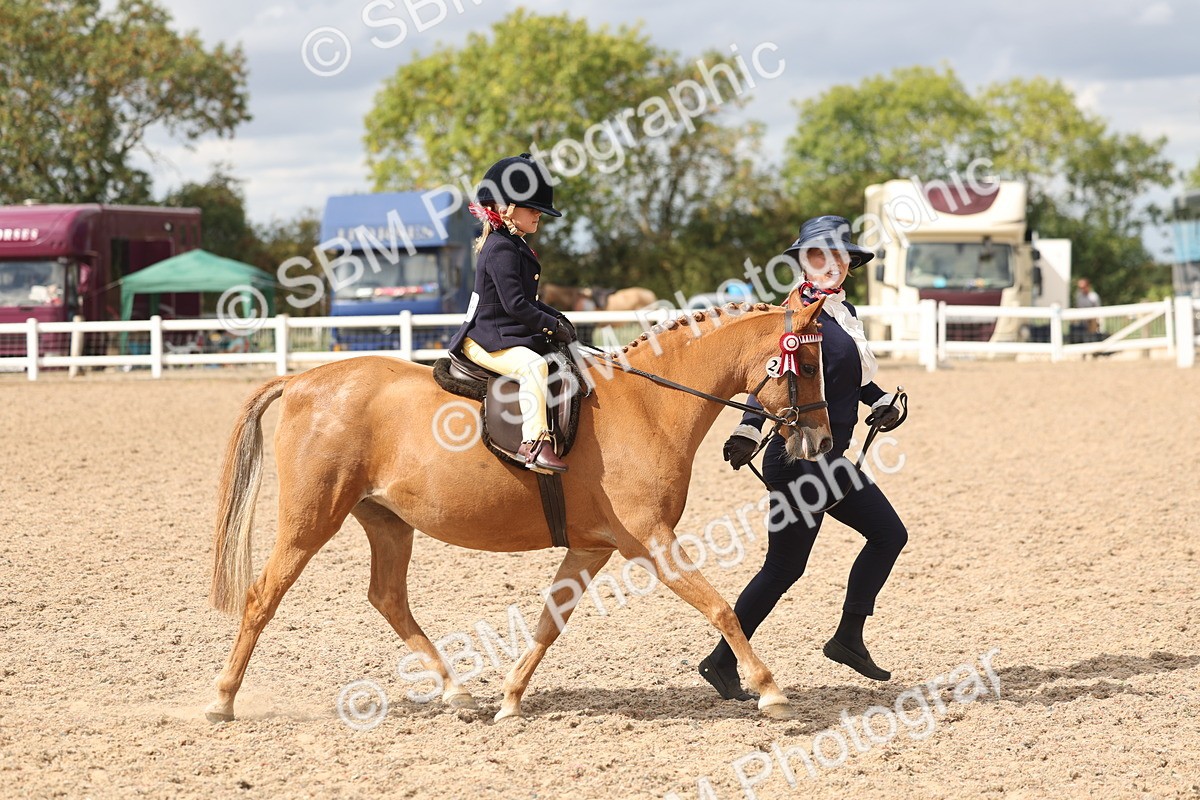SBM_15782 - Class 309 - Lead Rein Pony