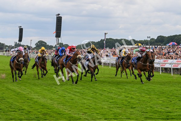 270724-Race 1-Night On Earth-6673 - Race 1 2.05pm Sky Bet 'Jump Jockeys' Nunthorpe' Handicap