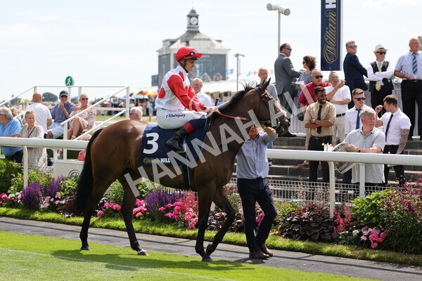 yr08072022r2-7 - Race 2 2.40pm William Hill Summer Stakes
