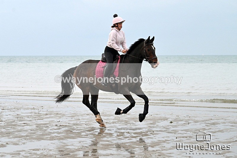 WJ7_9054 - Hayling Island Beach Shoot 22-09-24