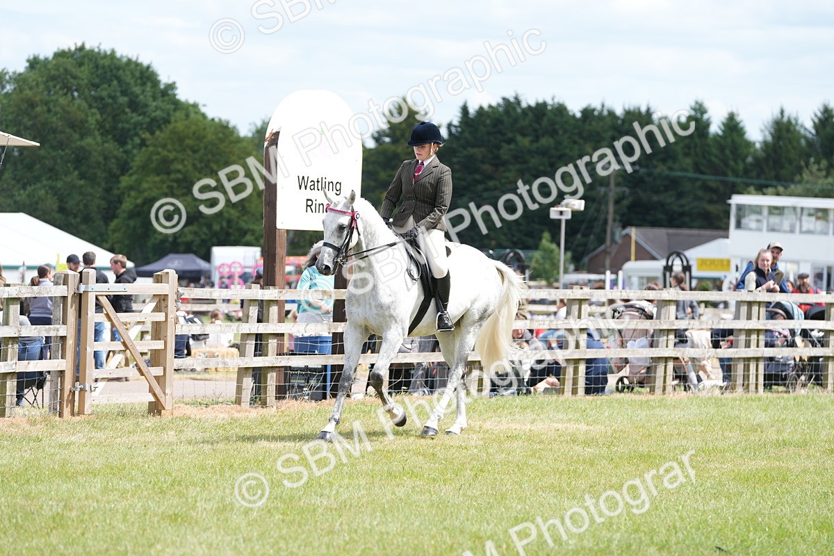 SBM_16172 - Class 105-106 - RIHS Riding Horses