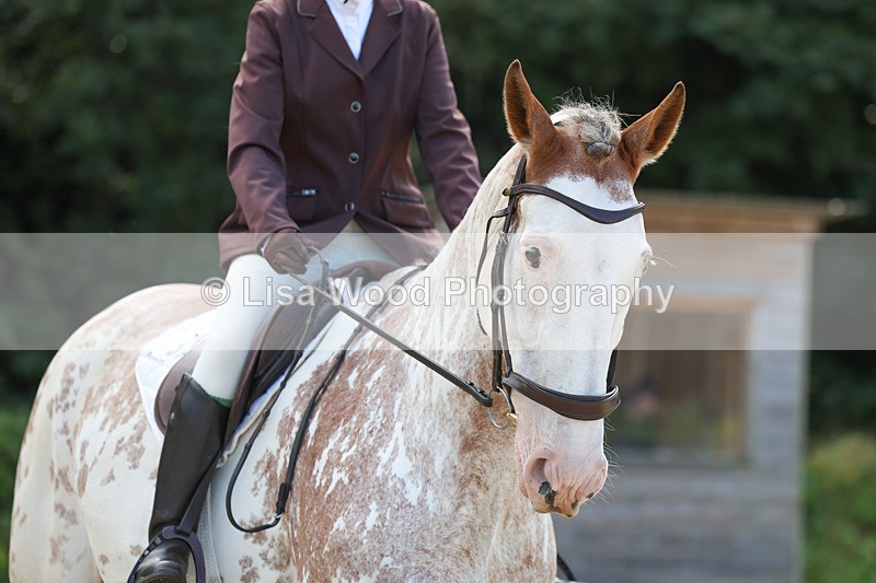 3E7A2406 - Class 1: Intro 4 2024 section A