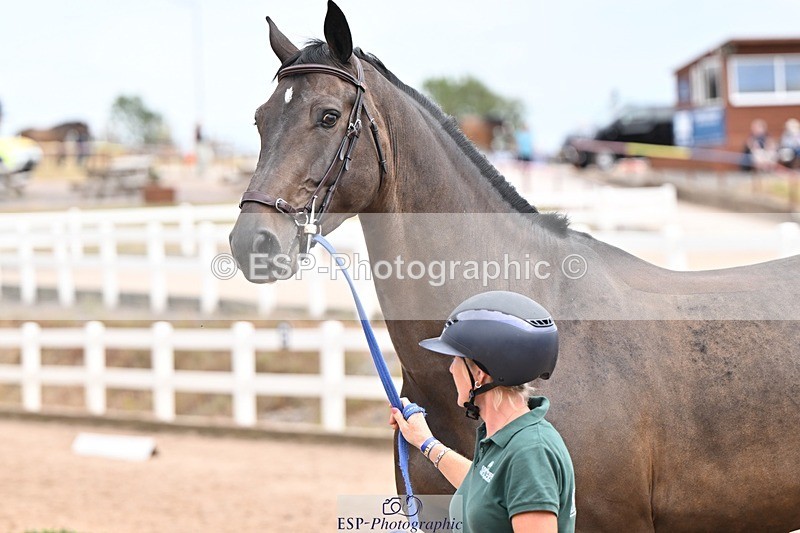 250716-143852-01255 - Trot Up 2.30 to 3.30