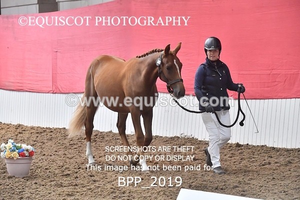 BPP_2019 - AFTERNOON 12.30 - 3.30PM