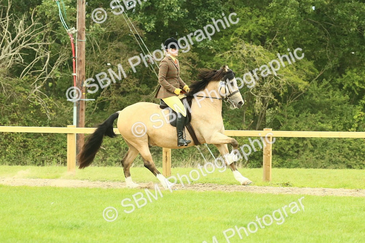 SBM_71885 - S60 - Mountain & Moorland Ridden Large Breeds