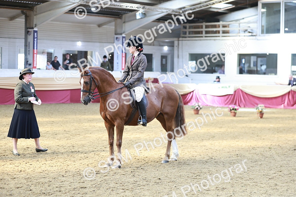 SBM_07119 - Class 10R - Regional Ridden Diamond