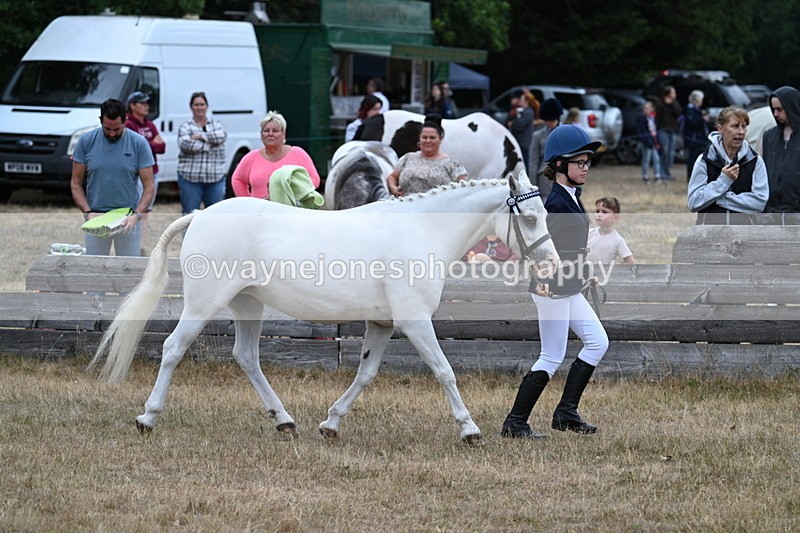 WJ7_8325 - Class 4 Prettiest Mare up to 14.2hh