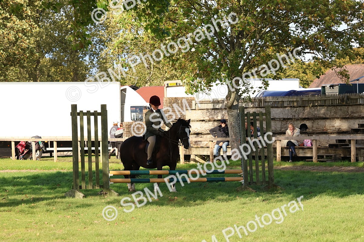 SBM_52547 - S13 - Pony Club Pony