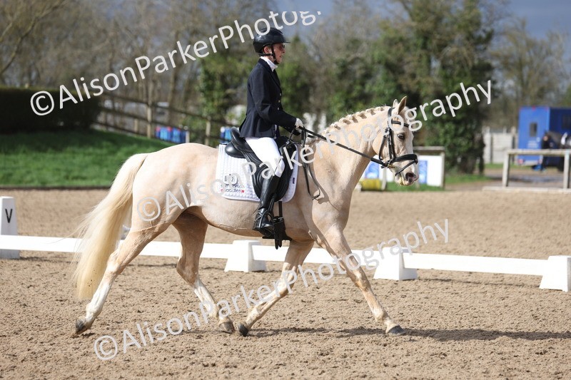 20260301-0650 - Class 4 - Novice 5