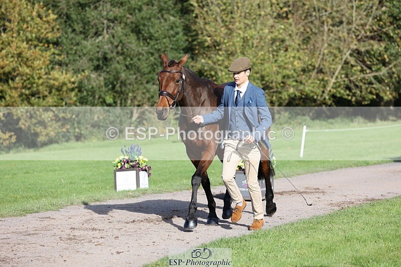 241027-101900-15809 - 504-Harry.Robinson-WHAT.A.WONDER