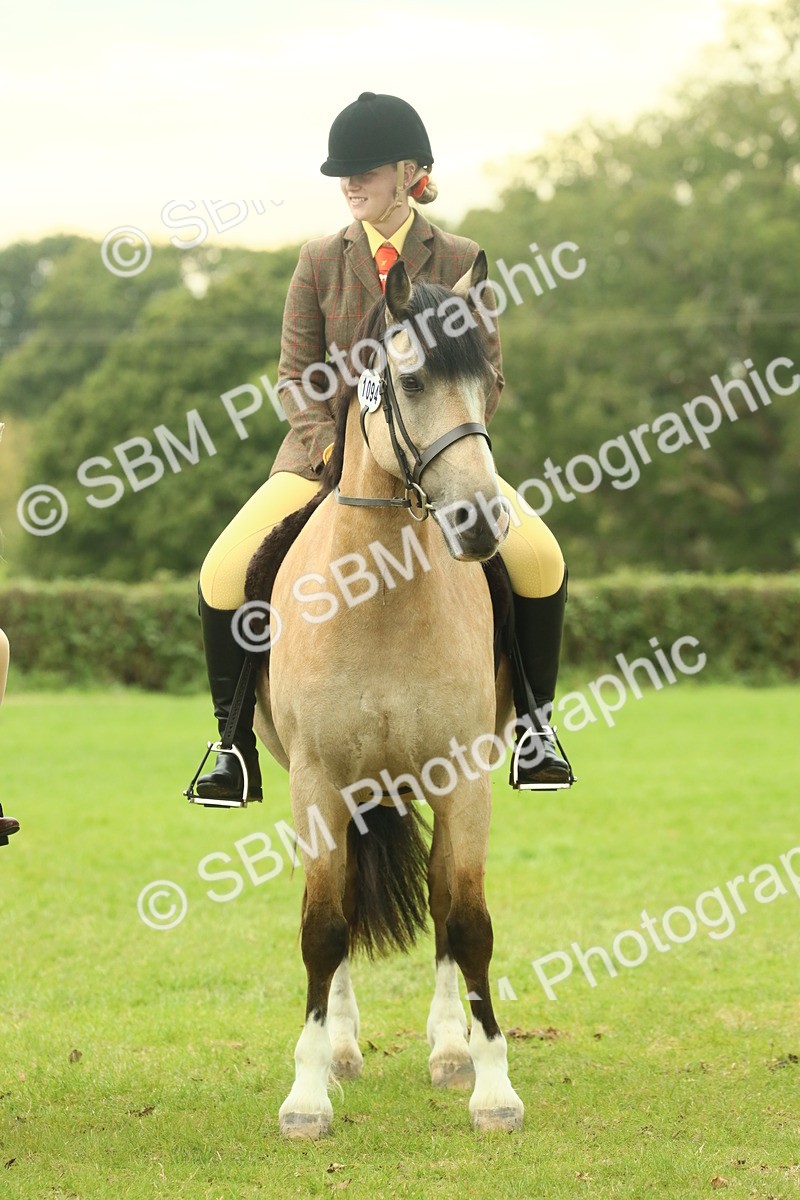 SBM_72208 - S60 - Mountain & Moorland Ridden Large Breeds
