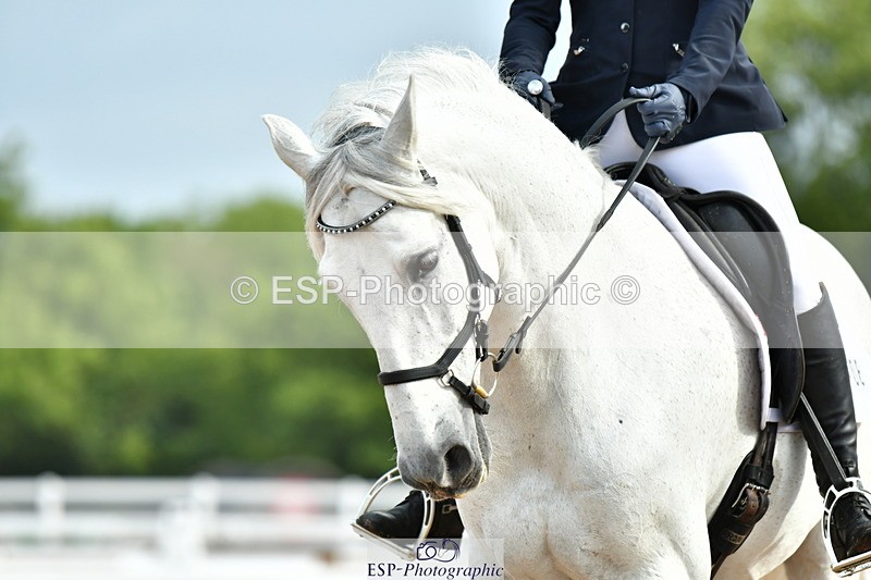 230708A-091002-01999 - Prelim 13