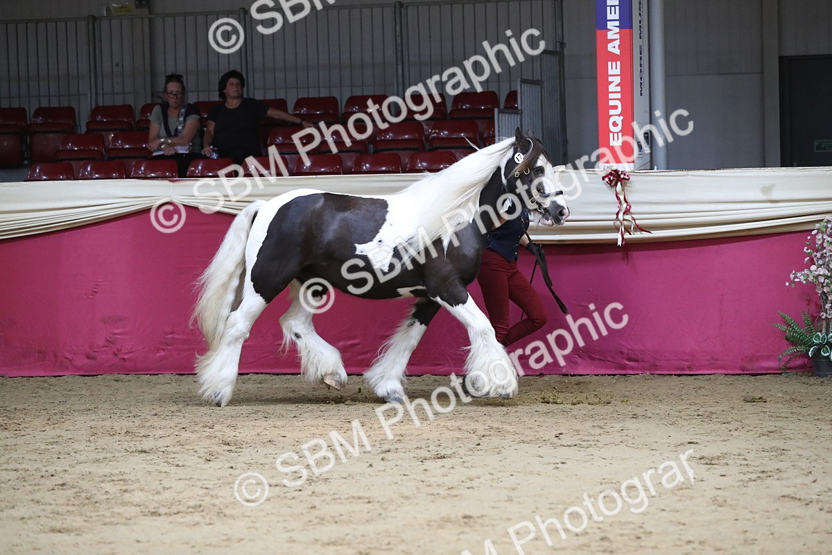 SBM_06236 - Class 9R Regional- IH Pre Vet