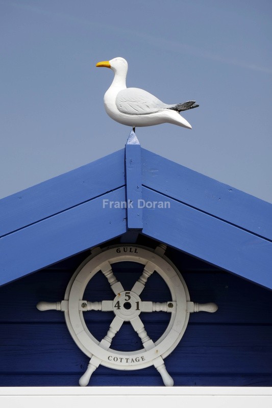 GULL COTTAGE - Frank Doran