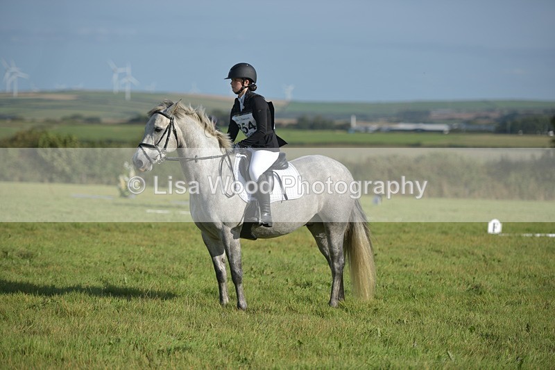 RAY_7410 - Class 2B: Trekenning Open: Dressage
