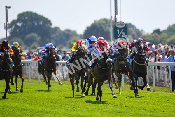 160623-Race 1-Menelaus-0167 - Race 1 1.50pm Andy Thornton Hospitality Furniture Apprentice Handicap