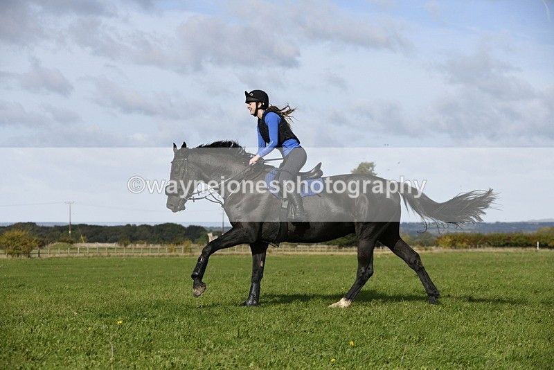 _DSC5859 - Time 10:49 to 11:23