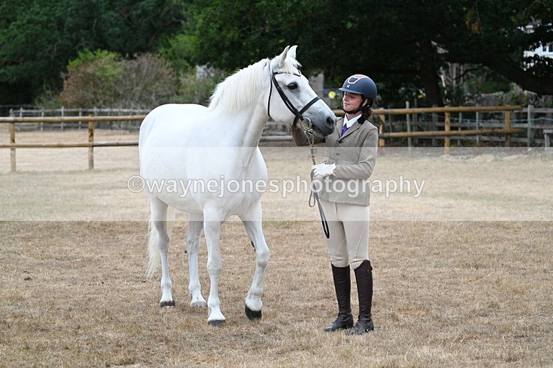 WJ7_9165 - Class 4a Prettiest Mare 14.2hh and over