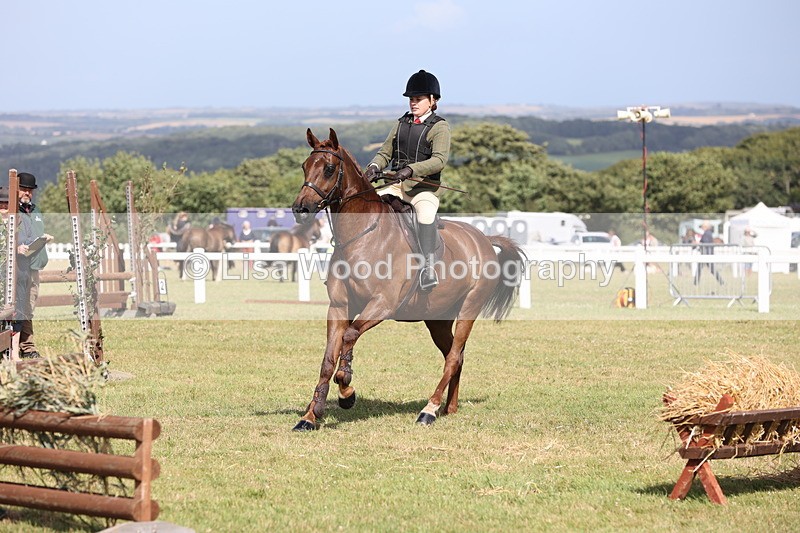 JPP_2544 - Class 20: Working Hunter 70cm