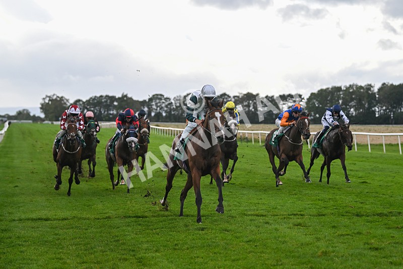 150925-Race 4-Hockney-2762 - Race 4