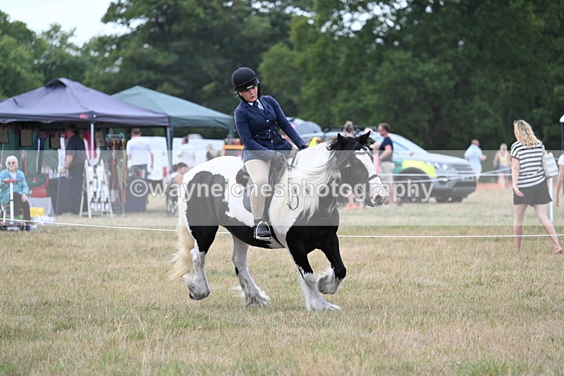 WJ7_5361 - Class 12 Ridden Cob