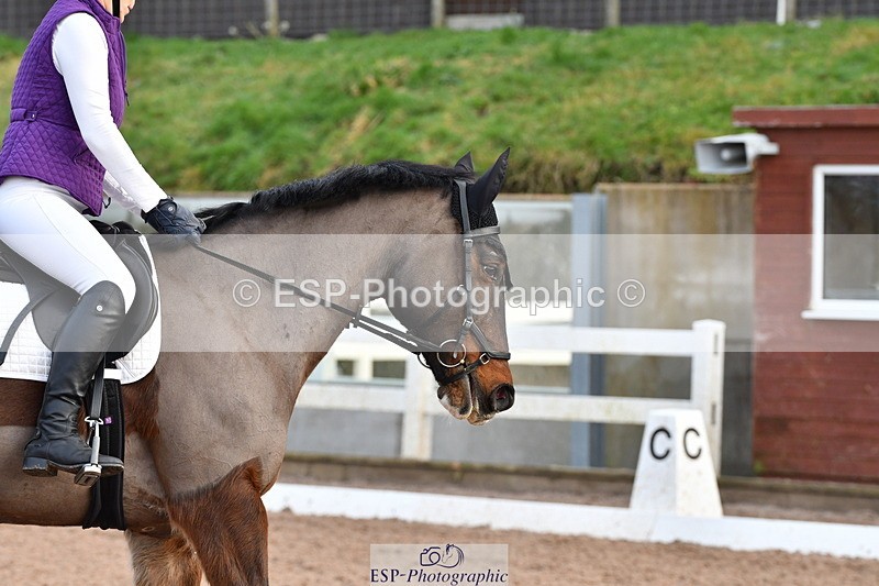 240107A-092823-00111 - Quest DR Tests