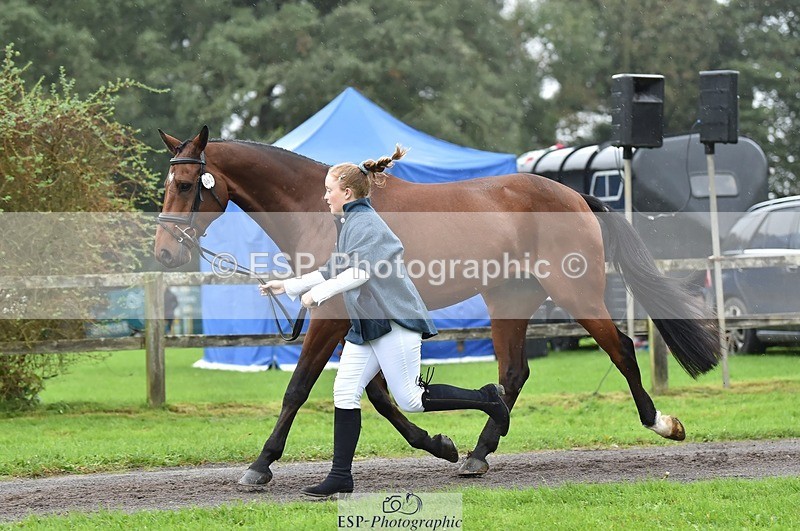 231018-124624-00507 - 062-CLASS.ROMANCE-Eleanor.Hope-TrotUp