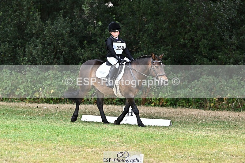 250820A-102713-02581 - Start to 11am