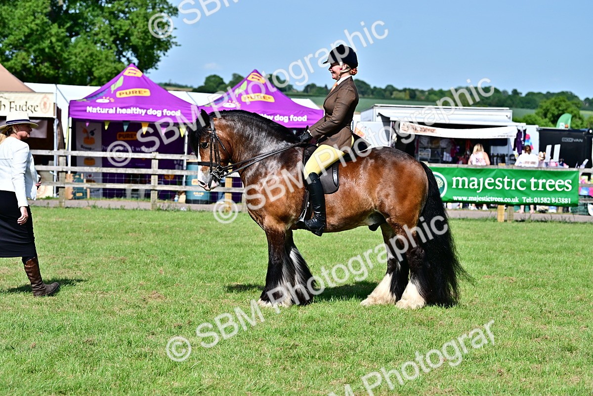 SBM_09352 - Class 63-65 - Traditional Gypsy Cobs In Hand & Ridden