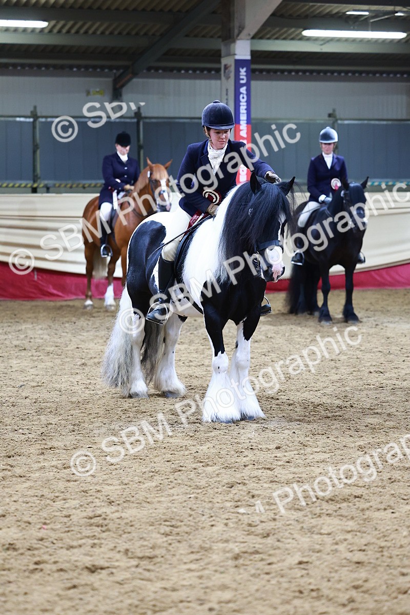 SBM_23559 - class 906 - Supreme Final - Ridden Pre Vet