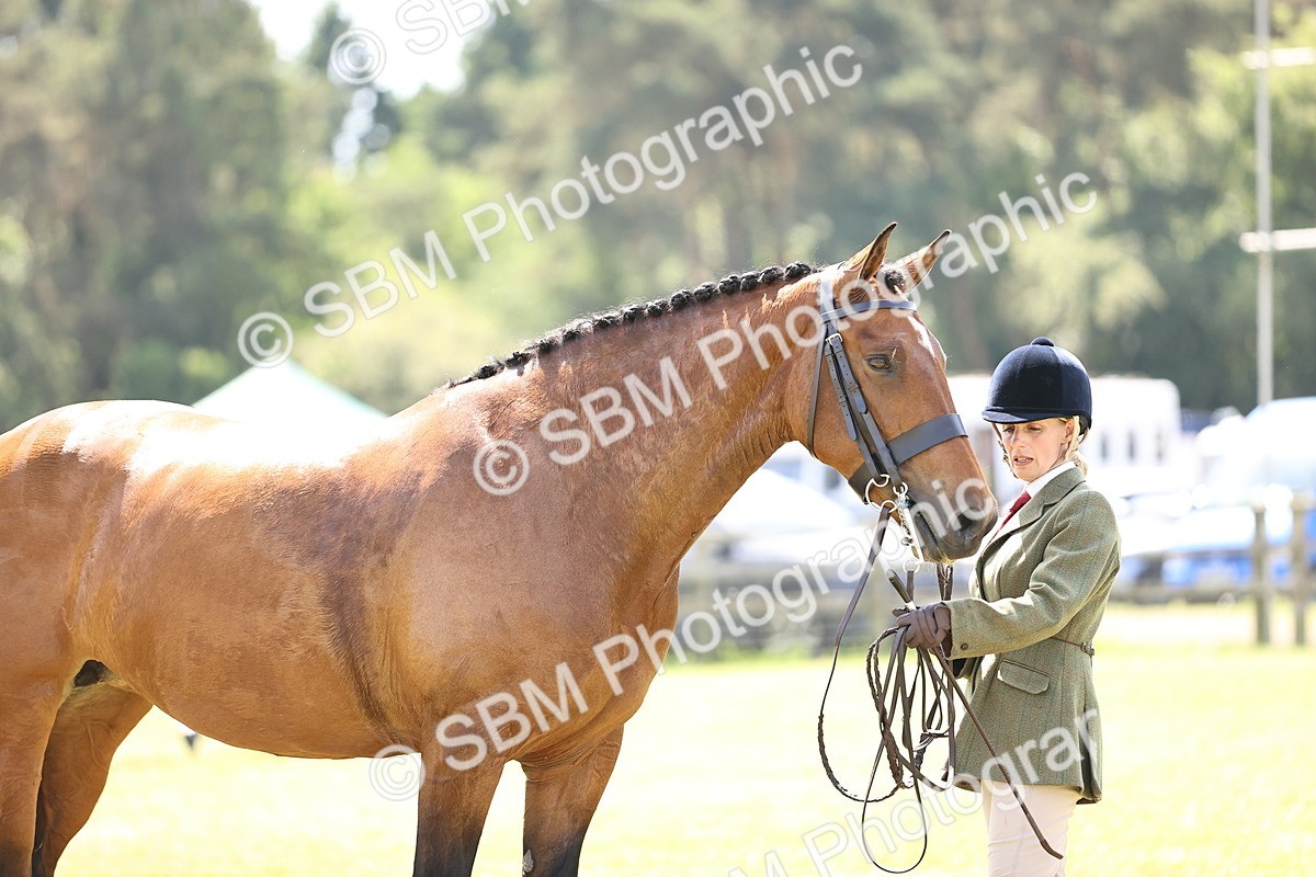 SBM_15219 - Class 79-80 - LIHS BSHA Rising Star Ridden Hunter