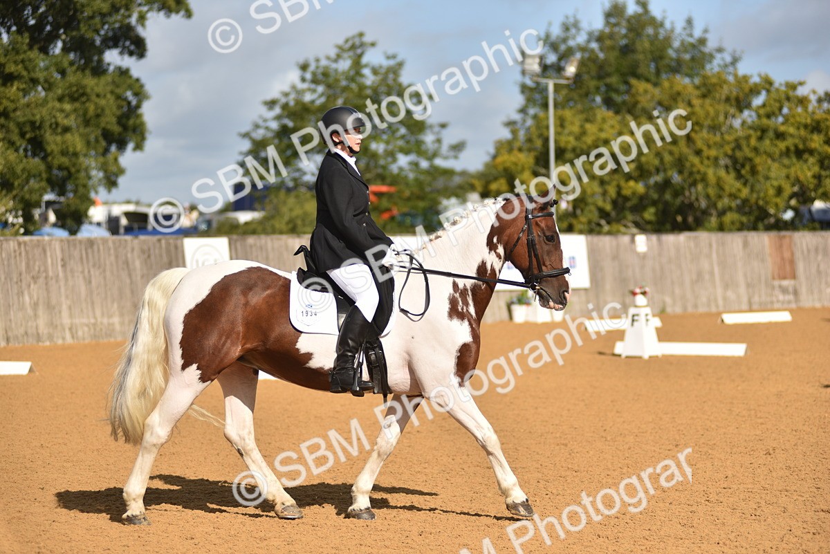SBM_03189 - D4 - Small Tour Championship Intro 4