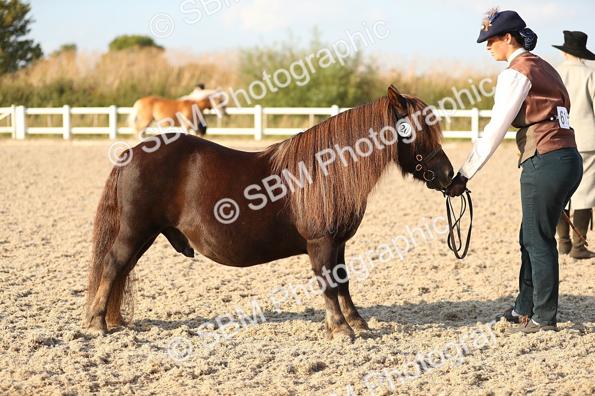 SBM_09052 - Class 29 IH Veteran Pony