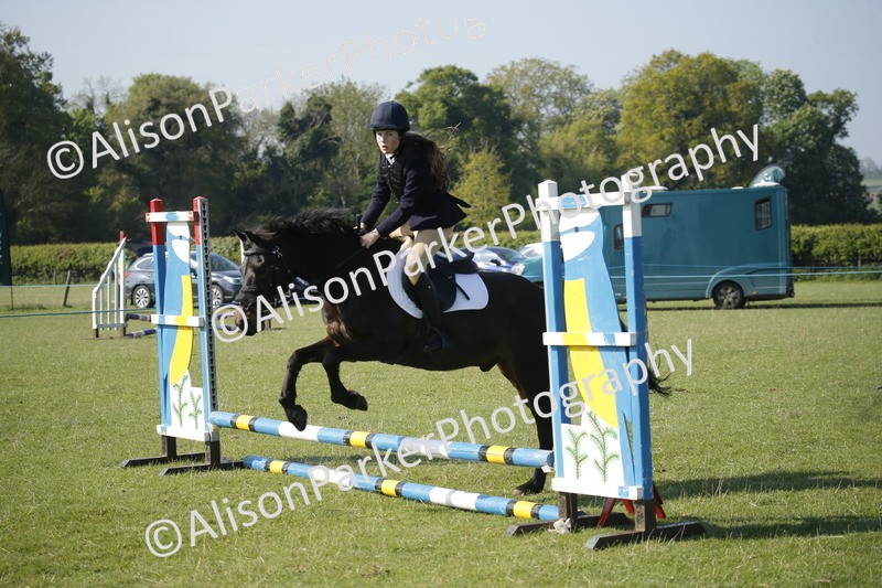 20250427-0340 - Class 12 - Rookie Jumping 40cm