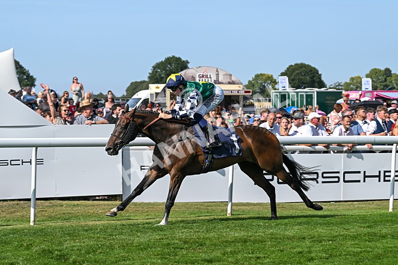 130825-Race 5-Bell Shot-8900 - Race 5