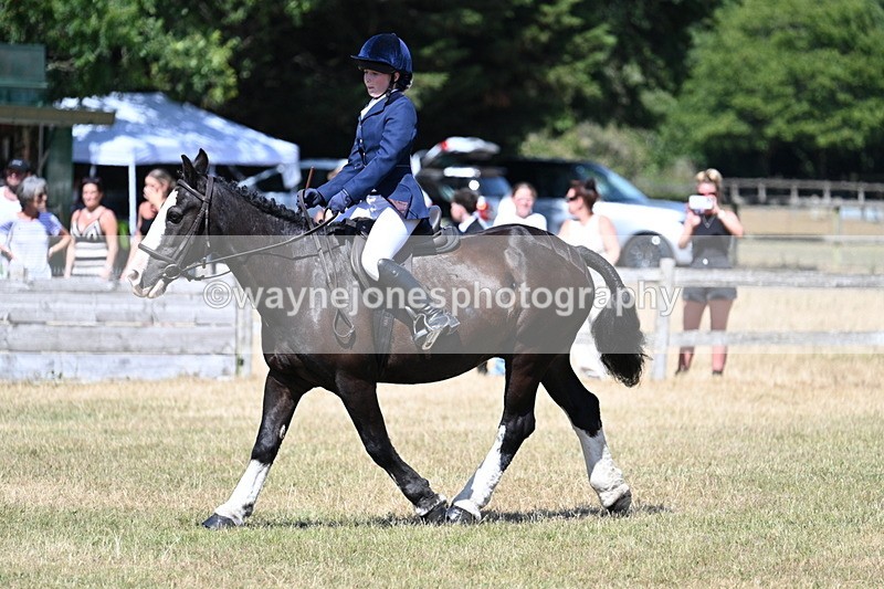 WJ7_3692 - Class 8 Ridden Veterans