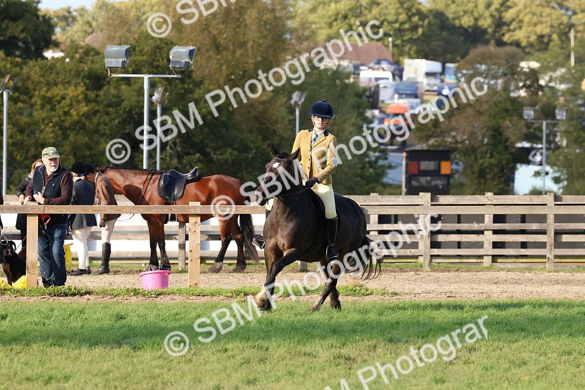 SBM_52586 - S13 - Pony Club Pony