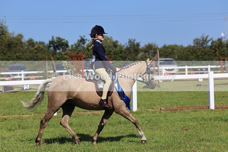 IMG_1871 - Plaited Mini Ridden Championship