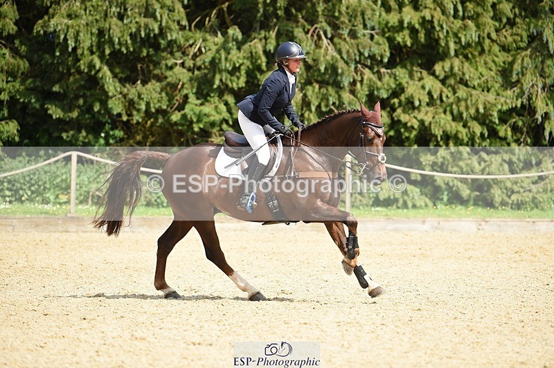230528-152744-19039 - 169-DHI_HOUDINI-Sophie_Hodgson-SUNTrotUp+SJ