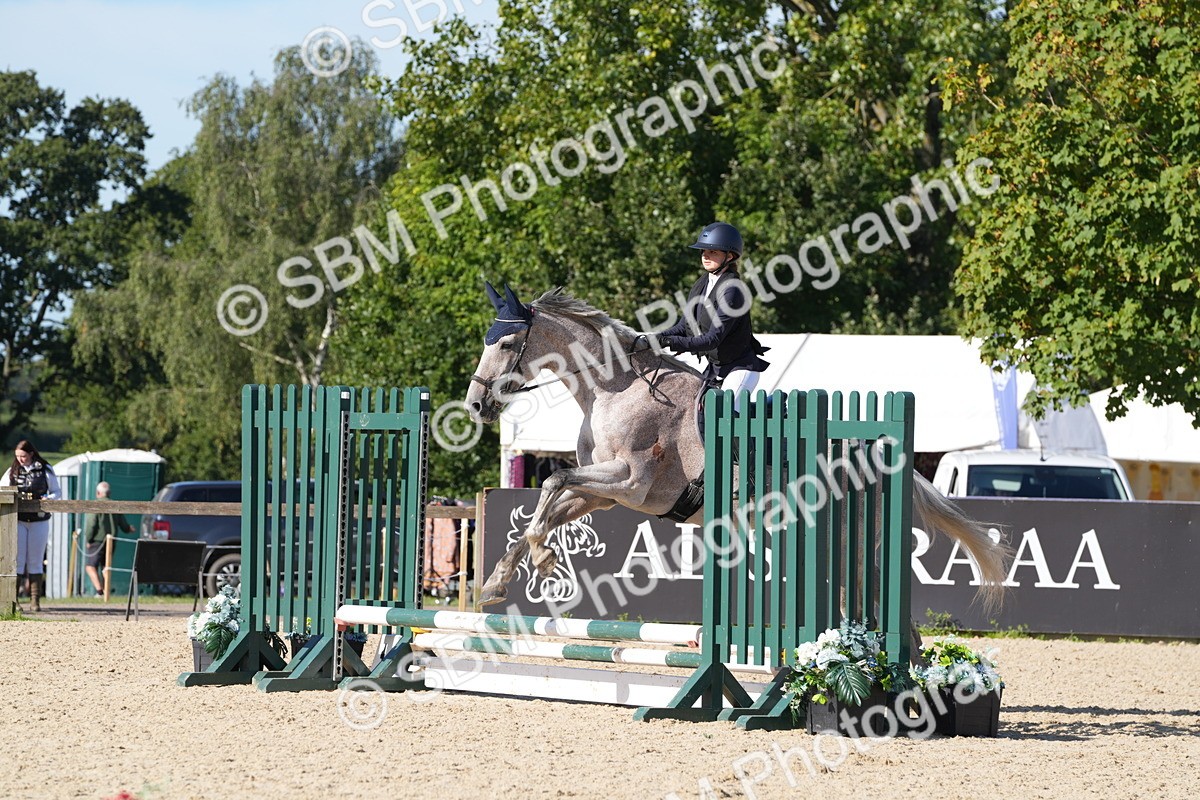 SBM_36211 - J 20 - Junior Horse 50cm Championship