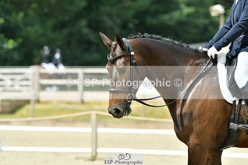 230623-112312-00435 - Cls 3 Novice 23 Start to 11.55 break